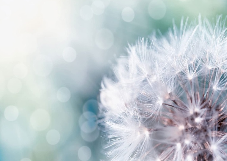 Marabout voyant guérisseur retour d'affection Nancy Marabout voyant guérisseur retour d'affection Nancy