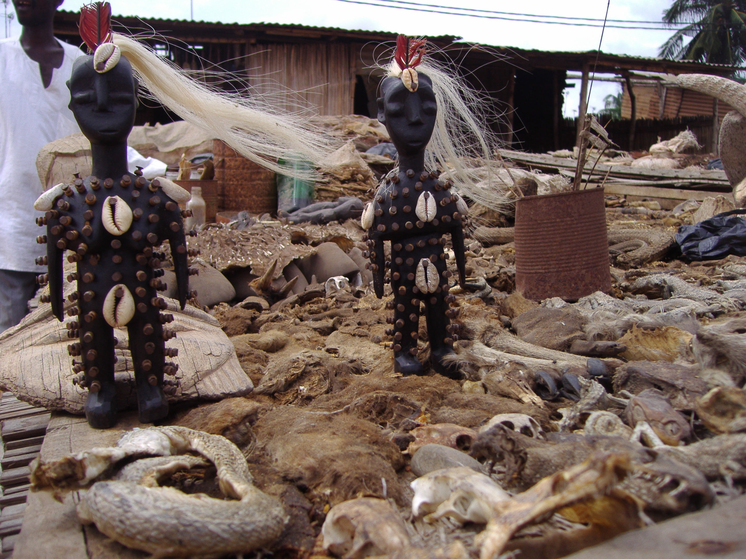 Voyant marabout amourologue Fribourg +41 79 917 31 14 Voyant marabout amourologue Fribourg +41 79 917 31 14